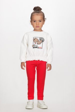 Alternative view of BASKET BEAR