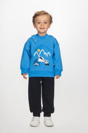 Alternative view of RACCOONS