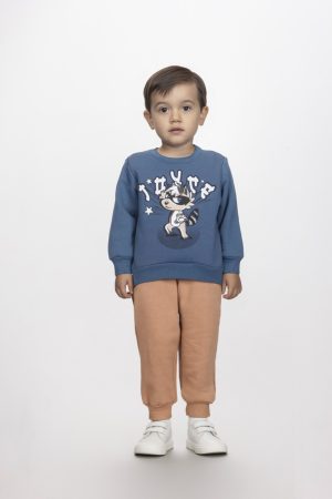 Alternative view of COBRAKAI