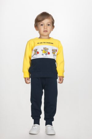 Alternative view of THE CHAMPIONS