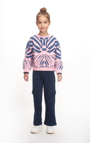 Alternative view of ZEBRA