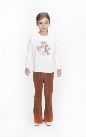 Alternative view of GEMINI