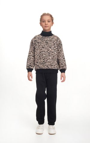 Alternative view of COL ROULE