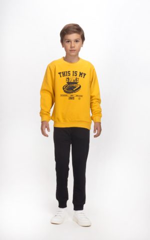 Alternative view of GAME