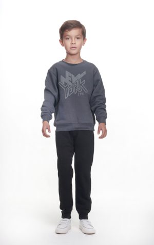 Alternative view of NEW YORK