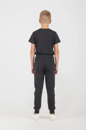 Alternative view of BASIC SWEATS