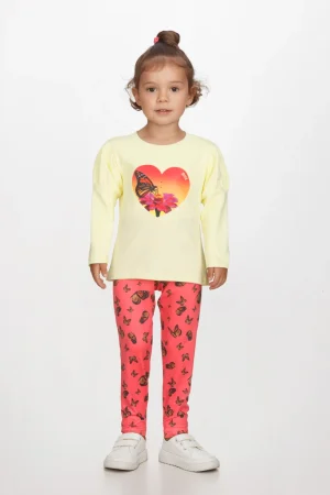 Alternative view of SET BUTTERFLY