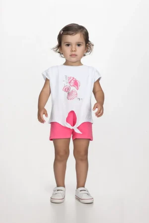 Alternative view of SET SHELLS