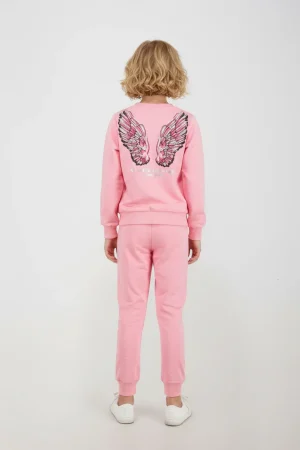 Alternative view of SET WINGS