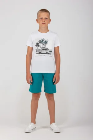 Alternative view of SET THE VAN