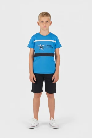 Alternative view of SET PALMTREES