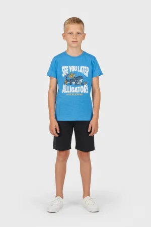 Alternative view of SET ALGATOR