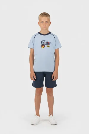 Alternative view of SET BASKET HOOP