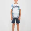 2614513 1